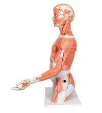 Primary Image Link