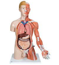 Primary Image Link