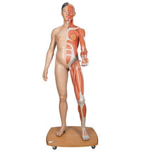 Primary Image Link