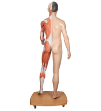 Primary Image Link
