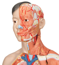 Primary Image Link