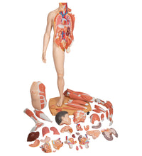 Primary Image Link