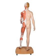 Primary Image Link