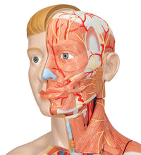 Primary Image Link