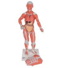 Primary Image Link