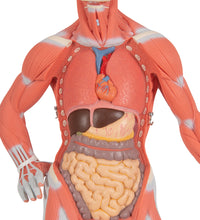 Primary Image Link