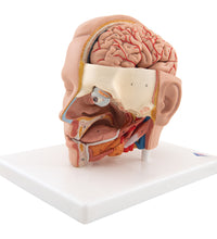 Primary Image Link