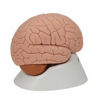 Primary Image Link