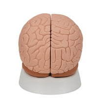 Primary Image Link
