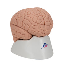 Primary Image Link