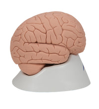 Primary Image Link