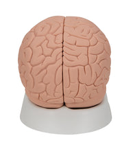 Primary Image Link