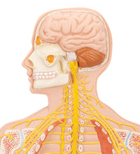 Primary Image Link
