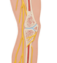 Primary Image Link