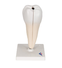 Primary Image Link