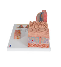 Primary Image Link