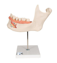 Primary Image Link