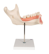 Primary Image Link