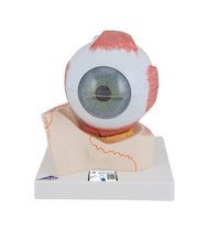 Primary Image Link