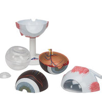 Primary Image Link