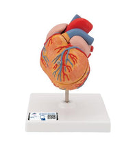 Primary Image Link