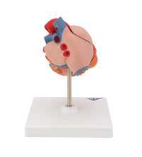 Primary Image Link