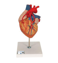 Primary Image Link