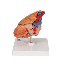 Primary Image Link