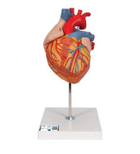 Primary Image Link