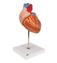 Primary Image Link