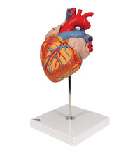 Primary Image Link