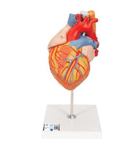 Primary Image Link