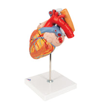 Primary Image Link