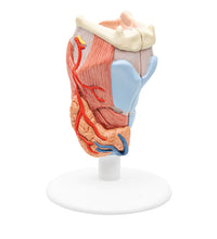 Primary Image Link
