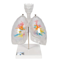 Primary Image Link
