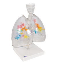 Primary Image Link