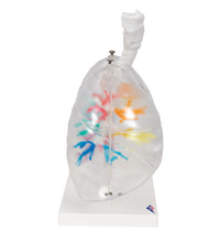 Primary Image Link