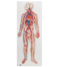 Primary Image Link