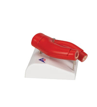 Primary Image Link
