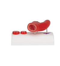Primary Image Link