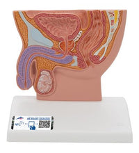 Primary Image Link