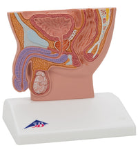 Primary Image Link