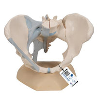 Primary Image Link