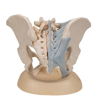 Primary Image Link