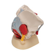 Primary Image Link