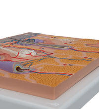 Primary Image Link
