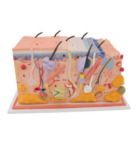 Primary Image Link