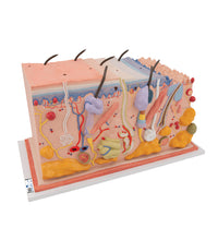 Primary Image Link