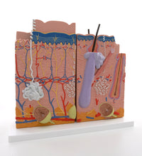 Primary Image Link