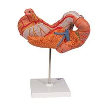 Primary Image Link